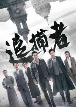 《追捕者》免费在线播放｜剧情,悬疑,犯罪·中国大陆  第1张