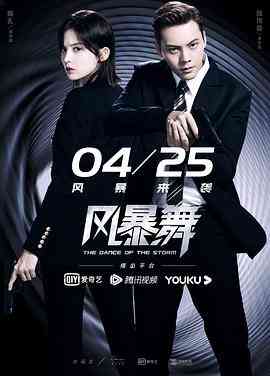 《风暴舞》免费在线播放｜剧情,悬疑,犯罪·中国大陆