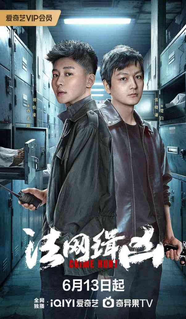 《法网缉凶》免费在线播放｜剧情,犯罪·中国大陆