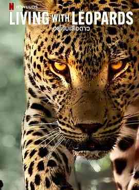 《豹崽同行》免费在线播放｜纪录片,纪录·英国