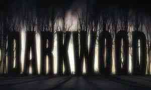 《阴暗森林 正式版》免安装｜成长冒险｜角色扮演