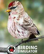 《观鸟模拟器》灵光乍现｜冒险解谜