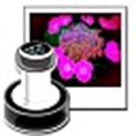 《WhatAMark》官方版》免费下载|学习工具·1.9