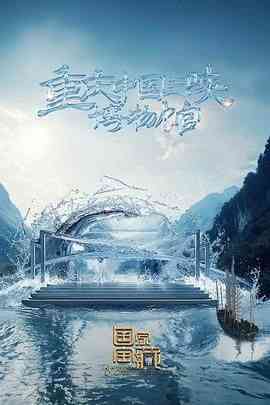 《国家宝藏 第四季》免费高清无广告在线播放|真人秀,大陆综艺,综艺·中国大陆·2024