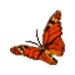 《英语八哥动画学音标官方版》免费下载|学习工具·v2.0