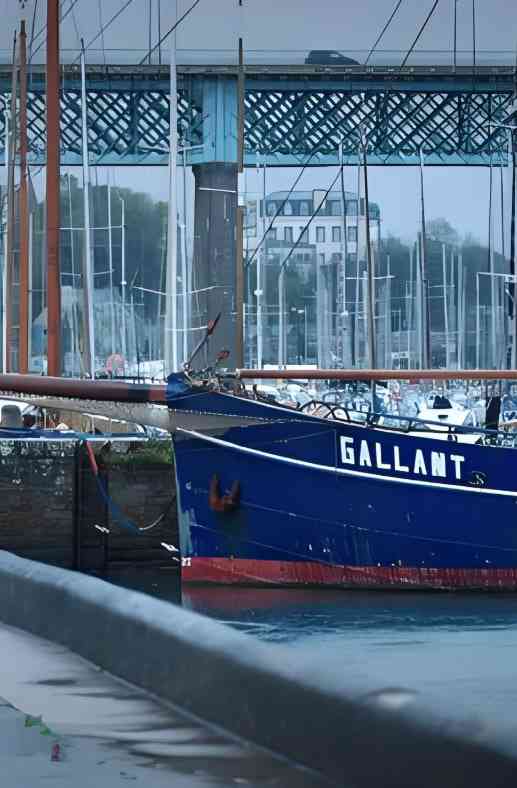 《在全能学校：Germaine Le Goff，一位先驱者的故事》免费高清无广告在线播放|纪录片·法国·2024