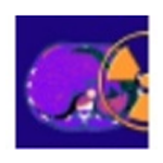 《Sante CT Viewerv2.2》免费下载|系统工具·2.2