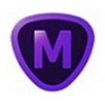 《Topaz Mask AIv1.2.4》免费下载|系统工具·1.2.4