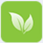 《银叶树3.1.0.1》免费下载|系统工具·3.1.0.1