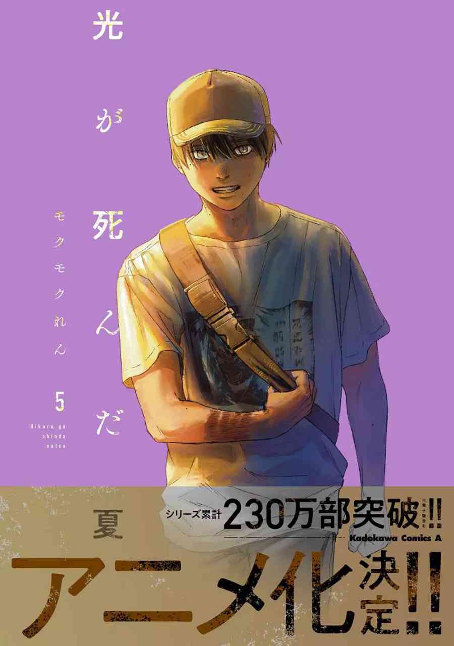 《光逝去的夏天》免费高清无广告在线播放|动画,悬疑,惊悚,奇幻·日本·2025