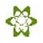 《liveView桌面录屏v3.6.2.0》免费下载|系统工具·3.6.2.0