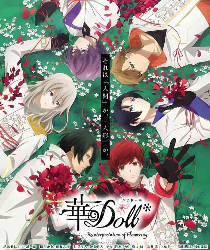 《华Doll》免费高清无广告在线播放|动画,音乐·日本·2025
