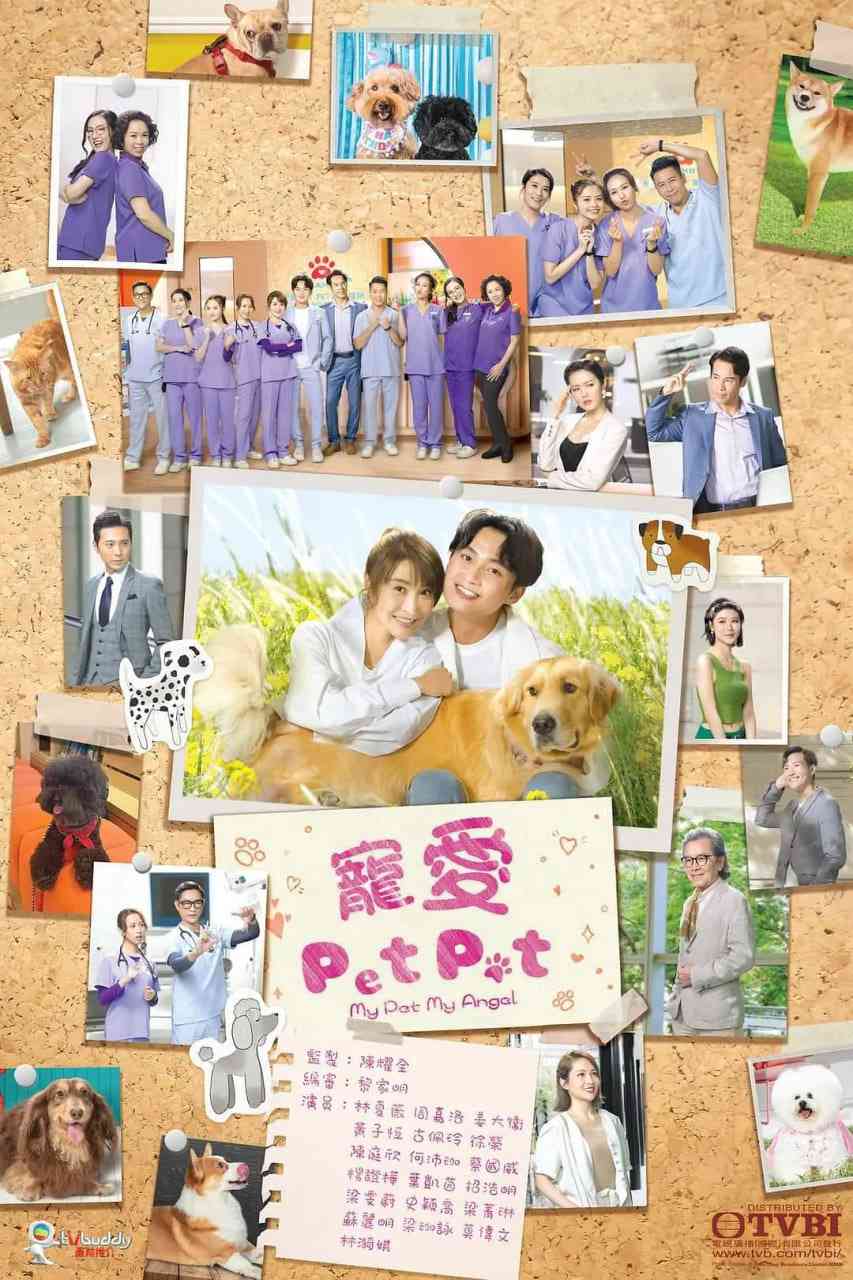 《宠爱Pet Pet》免费高清无广告在线播放|剧情,喜剧,爱情·中国香港·2023