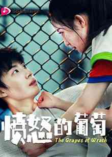 《愤怒的葡萄》免费高清无广告在线播放|内地剧·中国大陆·2024