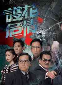 《护花危情》免费高清无广告在线播放|香港,港澳·香港·2012