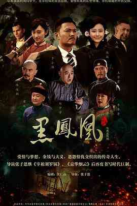 《黑凤凰》免费高清无广告在线播放|剧情·中国大陆·2013