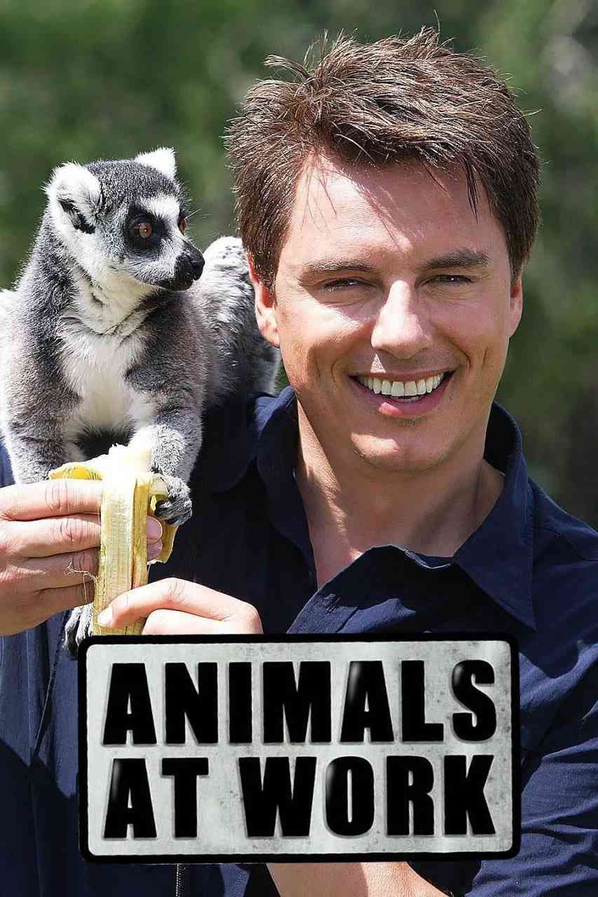 《动物打工记》免费高清无广告在线播放|纪录片,儿童·英国·2008