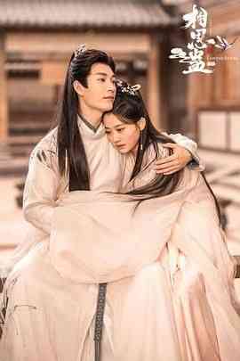 《相思蛊》免费高清无广告在线播放|剧情,爱情,短片,奇幻,古装·中国大陆·2024