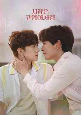 《爱情像猫一样》免费高清无广告在线播放|爱情,同性·韩国,泰国·2023