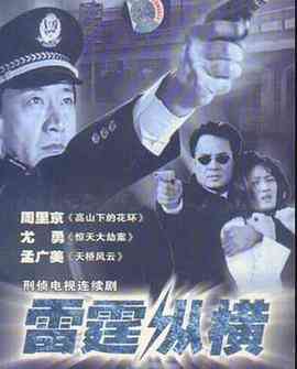 《雷霆纵横》免费高清无广告在线播放|内地,国产·中国大陆·2008