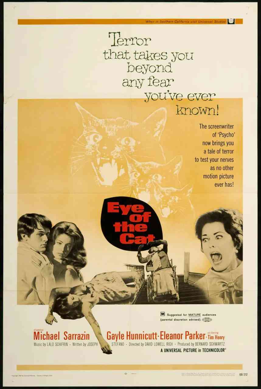 《猫儿擒凶记》免费高清无广告在线播放|恐怖·美国·1969