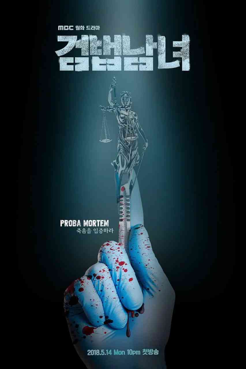 《检法男女》免费高清无广告在线播放|悬疑,犯罪·韩国·2018