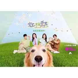 《宠他，还是爱我？》免费高清无广告在线播放|剧情,喜剧,爱情,家庭·新加坡·2024