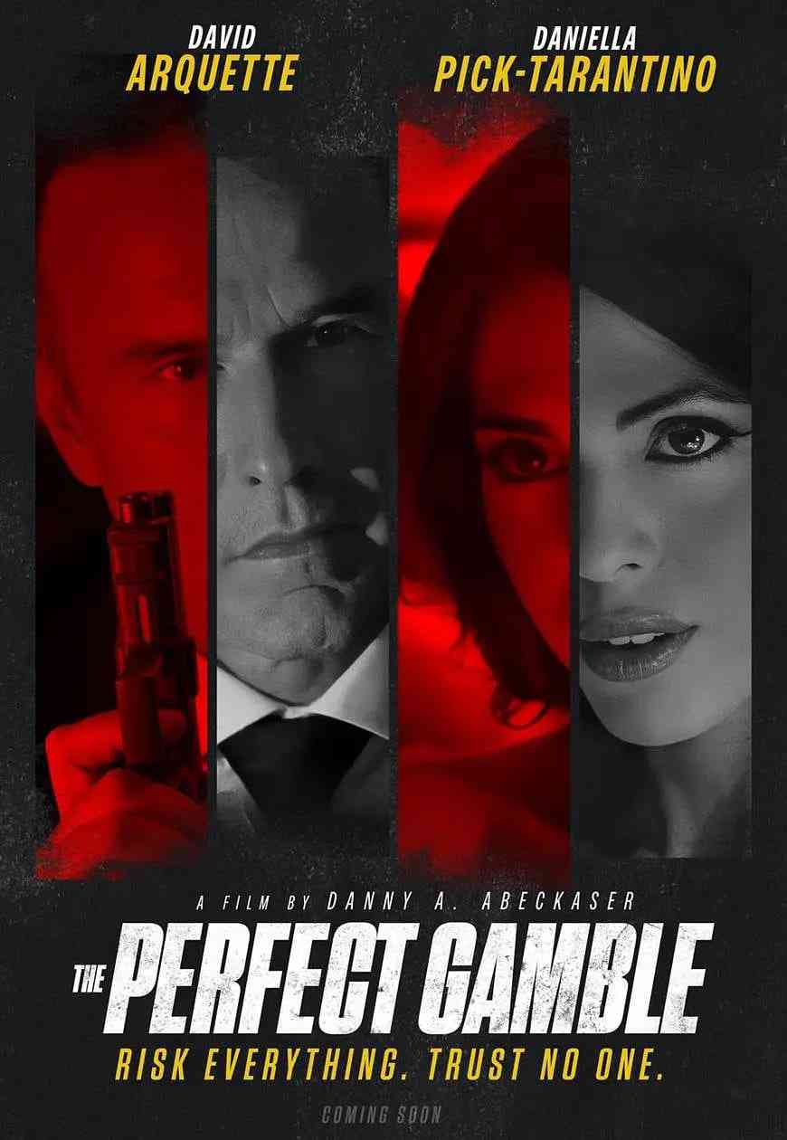 《完美赌局》免费高清无广告在线播放|剧情,犯罪·美国·2025