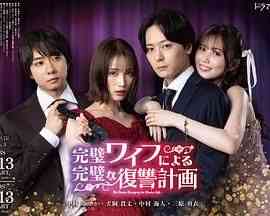 《完美妻子的完美复仇计划》免费高清无广告在线播放|剧情,日剧·日本·2024