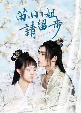 《苏小姐请留步》免费高清无广告在线播放|剧情.喜剧.爱情·中国大陆·2022