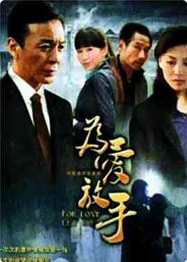 《为爱放手》免费高清无广告在线播放|剧情,爱情,家庭·中国大陆·2011