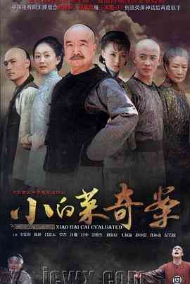 《小白菜奇案》免费高清无广告在线播放|历史,古装·中国大陆·2012