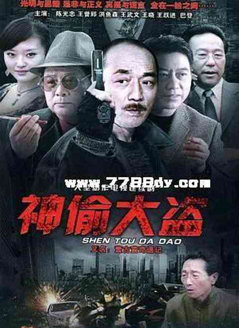 《神偷大盗》免费高清无广告在线播放|内地,国产·中国大陆·2011