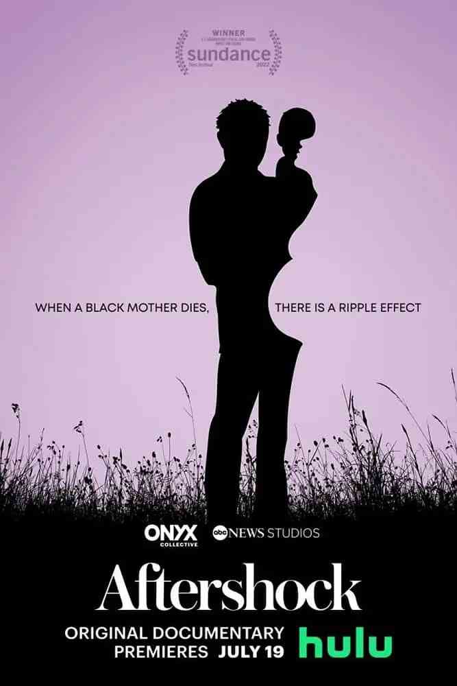 《余波 2022》免费高清无广告在线播放|纪录片·美国·2022