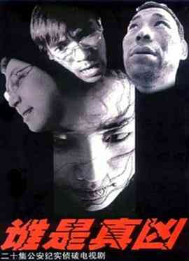 《谁是真凶》免费高清无广告在线播放|剧情,悬疑,犯罪·中国大陆·2005