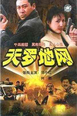 《天罗地网》免费高清无广告在线播放|犯罪·中国大陆·2002