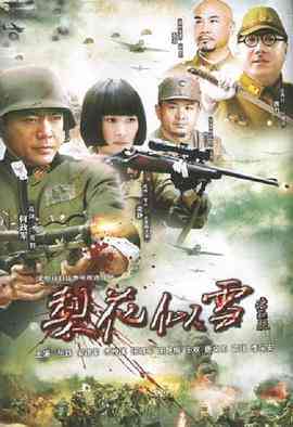 《梨花似雪》免费高清无广告在线播放|剧情·中国大陆·2010