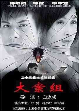《大案组》免费高清无广告在线播放|剧情,犯罪·中国大陆·2008