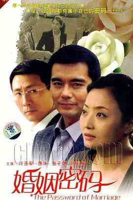《婚姻密码》免费高清无广告在线播放|剧情·中国大陆·2011
