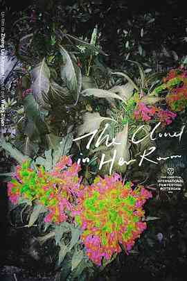 《她房间里的云》免费高清无广告在线播放|剧情·中国大陆,中国香港·2020