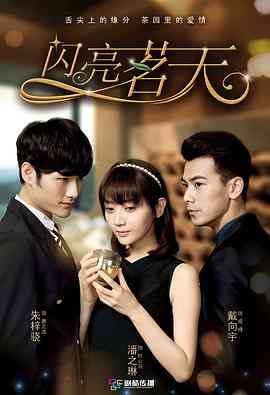 《闪亮茗天》免费高清无广告在线播放|剧情,爱情·中国大陆·2015