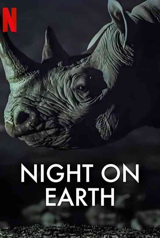 《地球的夜晚》免费高清无广告在线播放|纪录片·英国·2020