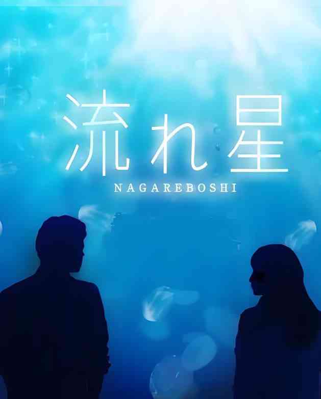《流星》免费高清无广告在线播放|剧情,爱情·日本·2010