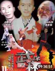 《武林探秘》免费高清无广告在线播放|动作·中国大陆·2018