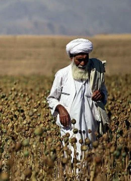 《鸦片之初》免费高清无广告在线播放|纪录·大陆·2013