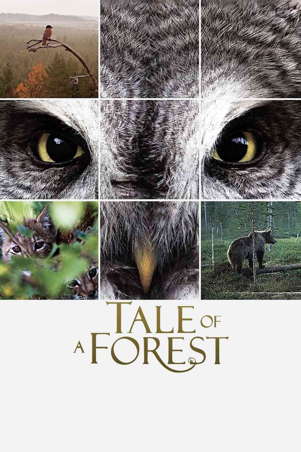 《森之传说》免费高清无广告在线播放|纪录片·芬兰·2012