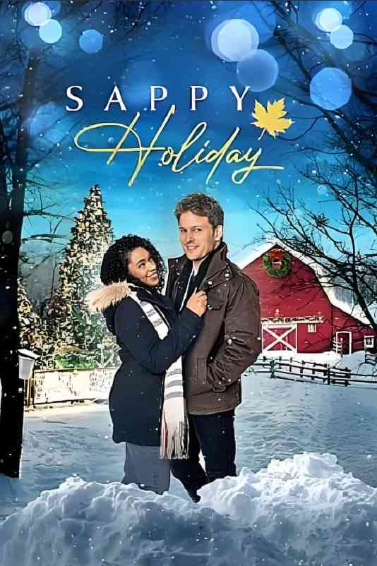 《快乐假日》免费高清无广告在线播放|爱情·加拿大·2022