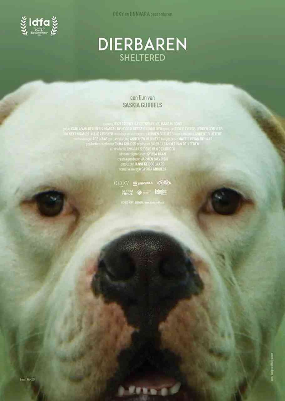 《动物之家》免费高清无广告在线播放|纪录片·荷兰·2020