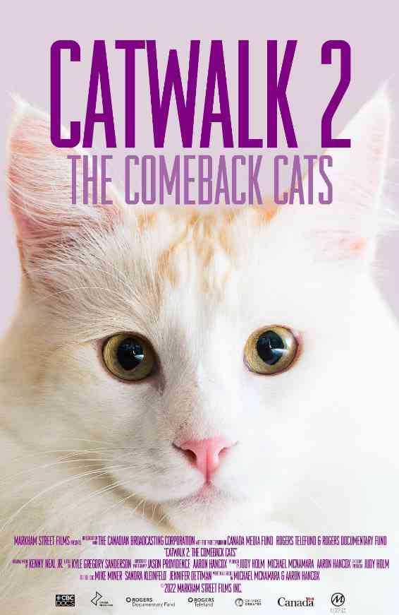 《《猫步2：回归的猫》》免费高清无广告在线播放|记录·加拿大·2022