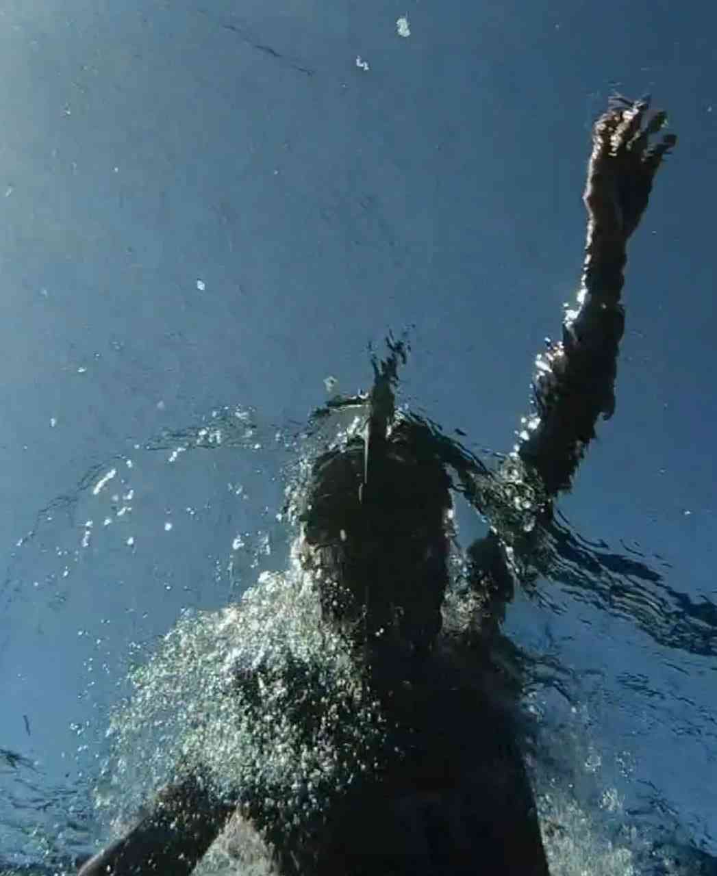 《游泳》免费高清无广告在线播放|纪录片·美国,日本·2021